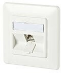 Cat3 (TAE+UAE) Panel
