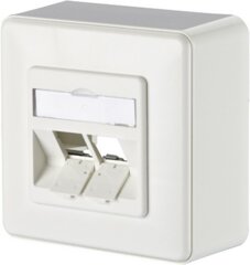 Cat6 Panel