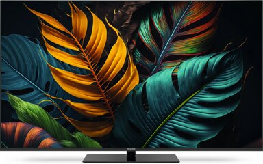 LED Fernseher