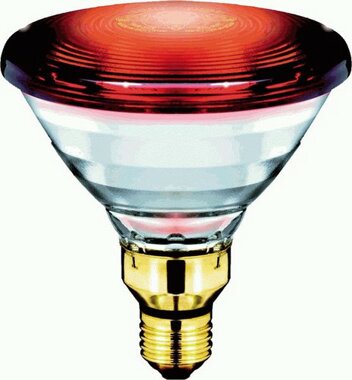 Philips PAR38E Infrarot Ersatzlampe E27