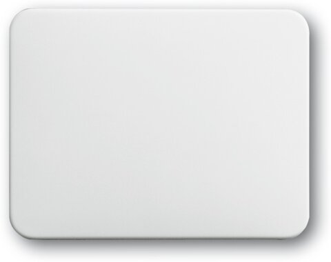 Busch-Jaeger Wippe 1786-24 | 1751-0-1849 Busch-Jaeger Wippe 1786-24 | 1751-0-1849