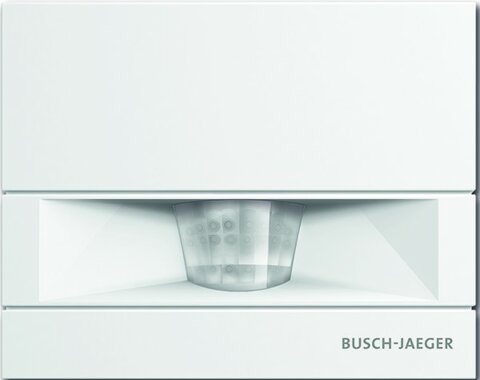 Busch-Jaeger Busch-Wchter 110 MasterLINE 6855 AGM-204 | 6800-0-2607