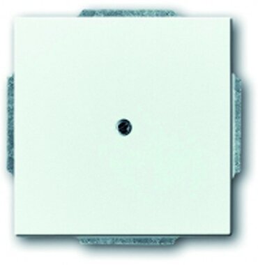 Busch-Jaeger Blindzentralscheibe 1742-84 | 1710-0-3161