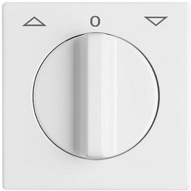 Busch-Jaeger Zentralscheibe 2142 DR-34 | 1710-0-1811 Busch-Jaeger Zentralscheibe 2142 DR-34 | 1710-0-1811