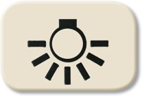 Busch-Jaeger Tastersymbol 2525 LI, wei