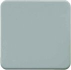 Berker 155001 WIPPE AUS/WECHSEL B