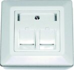 Dtwyler 185867 Dose fr 2x KS 1/8 RJ45