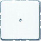 Jung CD 590 A WW LEITUNGSAUSSLASS reinweiss